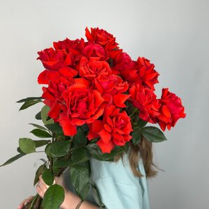 Алая вывернутая роза "Французская роза" 