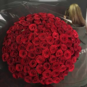 Букет из 109роз 