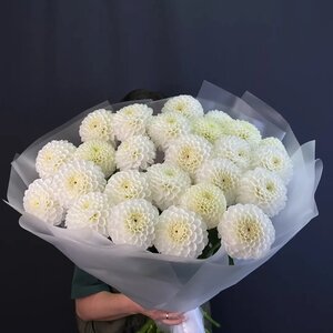Букет из 25 белых георгин 