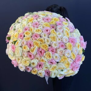 Букет из 150 пионовидных роз 