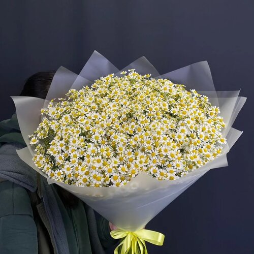 Букет из ромашек 