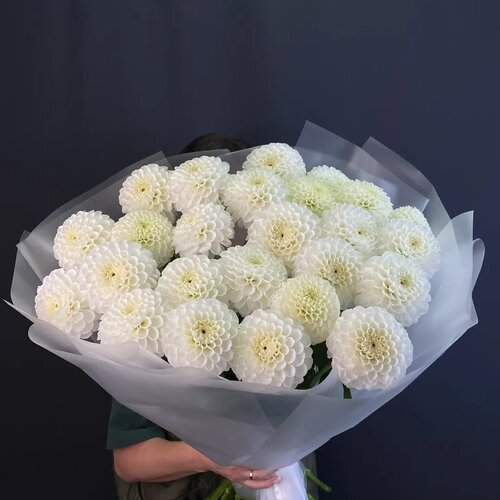 Букет из 25 белых георгин 